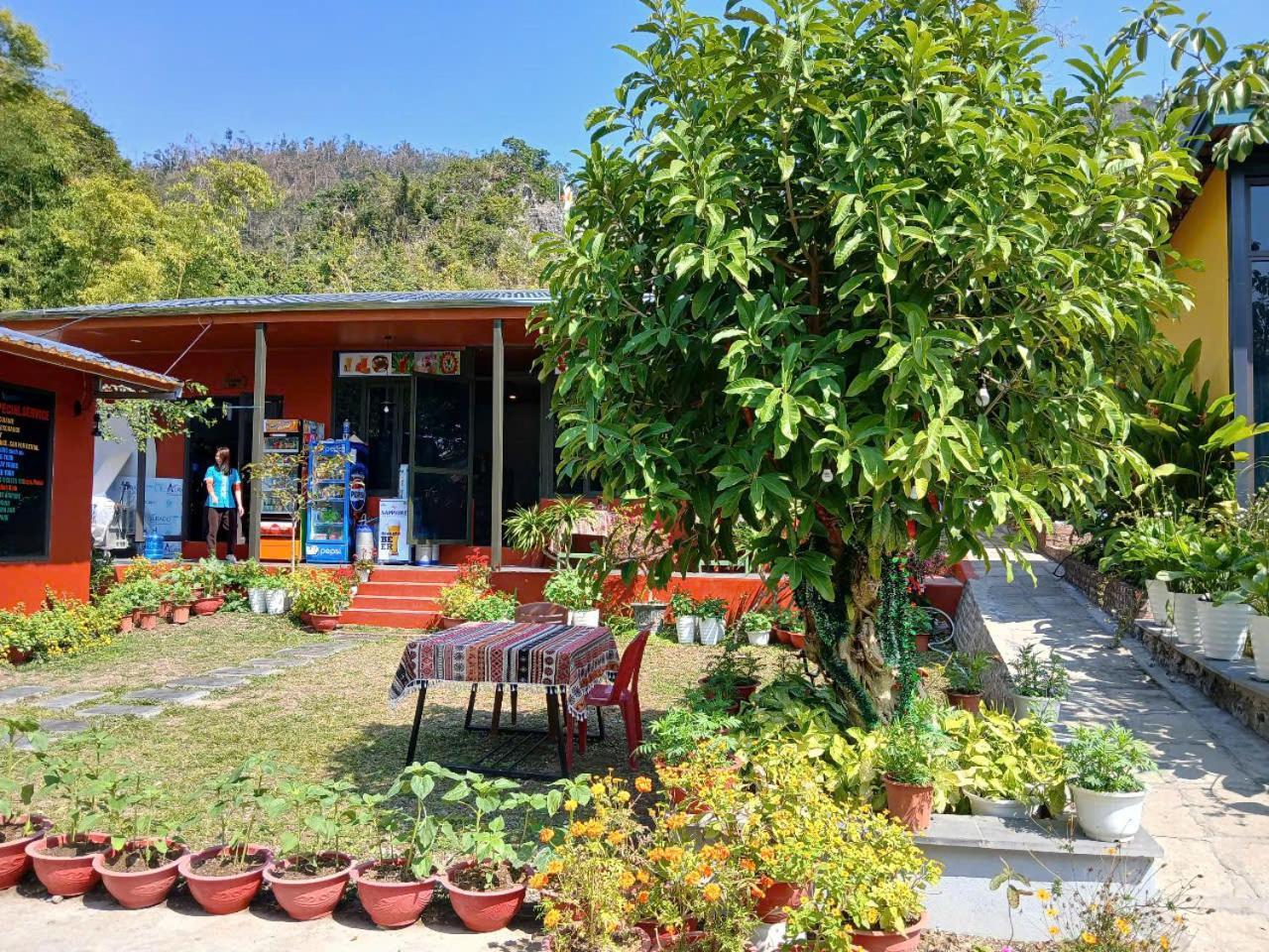 Catba Papillon Garden Bungalows & Resort Hien Hao Buitenkant foto