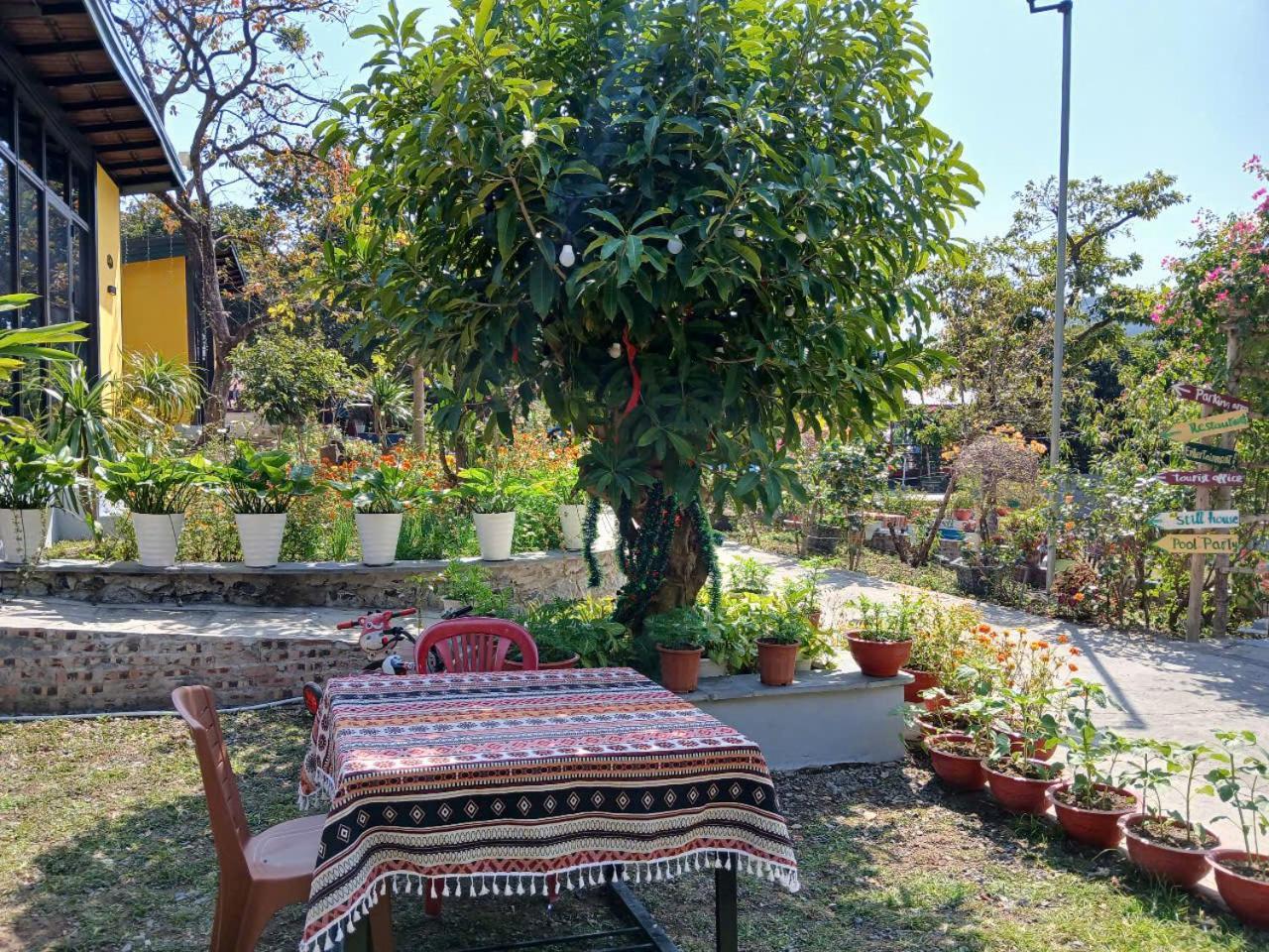 Catba Papillon Garden Bungalows & Resort Hien Hao Buitenkant foto
