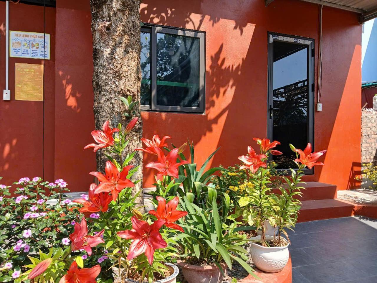 Catba Papillon Garden Bungalows & Resort Hien Hao Buitenkant foto