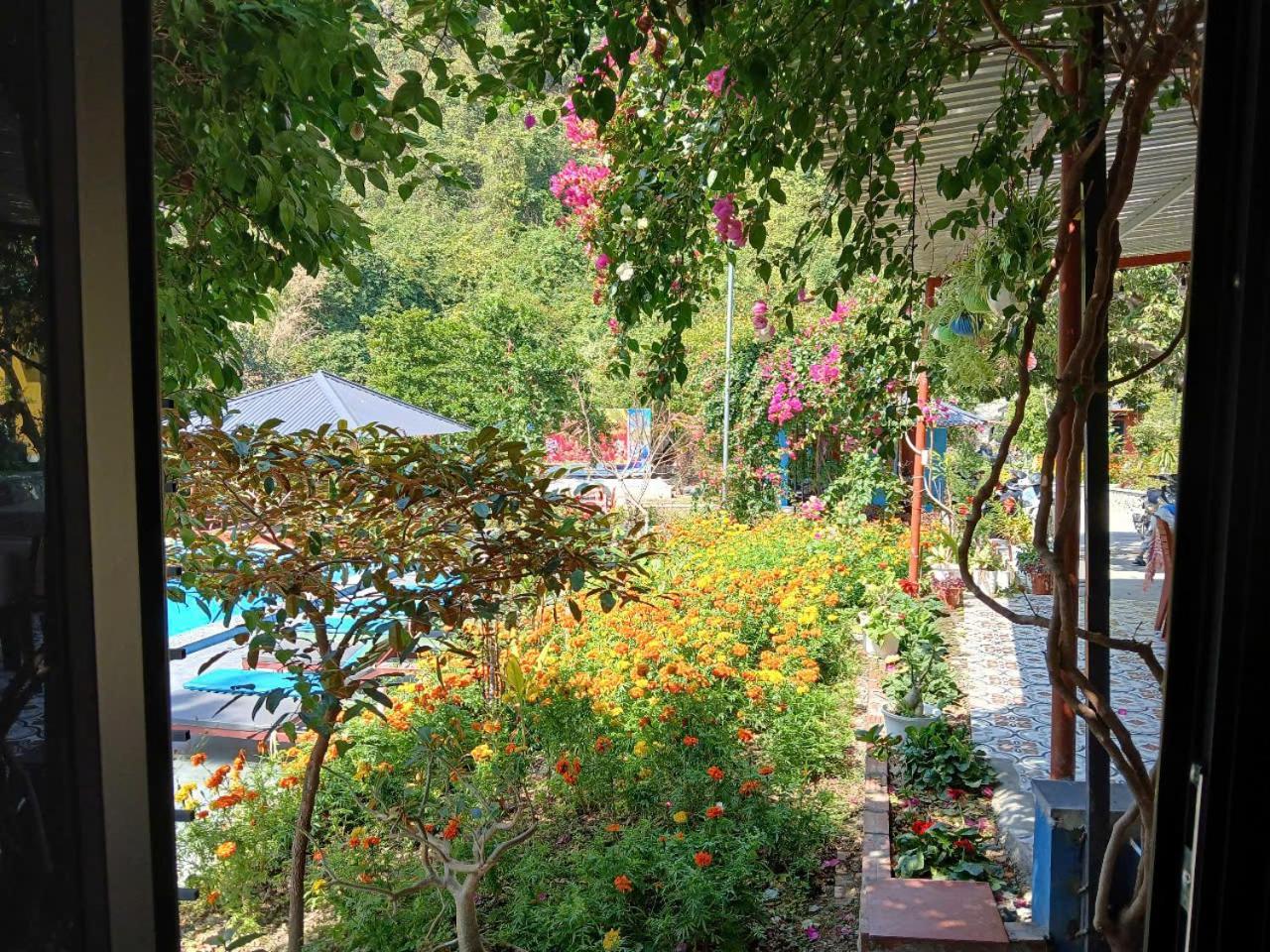 Catba Papillon Garden Bungalows & Resort Hien Hao Buitenkant foto